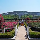 조선대학교 이미지