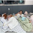 연세 태권도 이미지