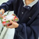 양도면-9 | 인천 오와오 딸기농장체험🍓 | 강화도에서 500g 수확 완료