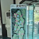 클럽버디 파3연습장