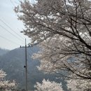 부귀리 마을회관 이미지