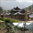 문경