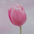 경기처인방문요양센터 이미지