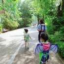 보라유치원 이미지