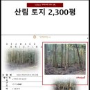 HS부동산중개사무소 이미지