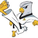 연세 태권도 이미지