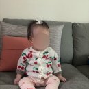 마루이 | 유아헤어핀 쇼핑몰 추천 마루이 펄 나비 리본 집게삔 후기