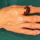 엔한의원 이미지