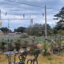 애월리에 분위기 좋은 퓨전 양식 제주 한담 해변 맛집, <b>애월리에</b>