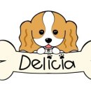 델리키아 이미지