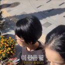 비타민안마원 이미지