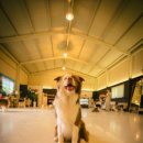 멍스 컨테이너 이미지