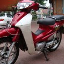 에이스팜 이미지