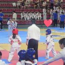 고려대 태권도 | 초등학생 국기원 태권도 품띠 심사 고려대리더스태권도
