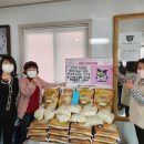 조야분소 이미지