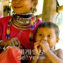 하늘닿은농장 이미지