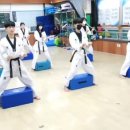 명품 백두 태권도 네이버블로그
