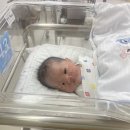 이선주 | 39주 6일 미즈메디 초산모 유도분만 1박 2일 후기(이선주 선생님) 및 출산 비용