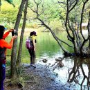 마산 봉암수원지 이미지