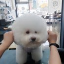 싹독싹독 이미지