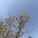 메디팜다솜약국 이미지