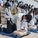 TOP태권도 이미지