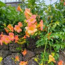 (주)콜로리 | 제주이색체험 꼭 추천하고 싶은 컬러헌팅 뚜띠콜로리 뮤제오