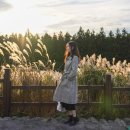 서광리-10 이미지