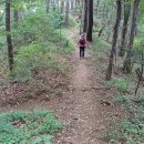 완월동171 이미지