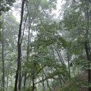 _나루터로2-9_ 이미지