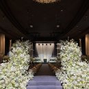 기업은행 앞 횡단보도 | [공지] MJ컨벤션 27년 상반기 견적공유 파티오볼룸 대관료 뷔페식대