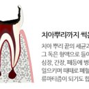 잠실원치과의원 이미지