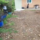 대부황금로 이미지