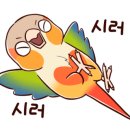 정천리드인