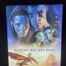 [소소한 일상_포천 CGV 리클라이너] 아바타_물의길 3D 관람후기(좌석팁추가)