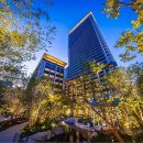 구조라타운 이미지