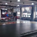 레드윙 복싱 이미지