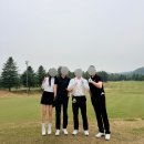 청주 골프장 시그너스CC 5월 라운드 후기 | 그린피·코스 컨디션 리뷰