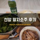 (주)선양 - 용인시 처인구 | GS편의점 단독 선양말차소주 후기