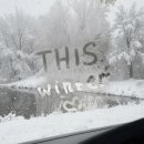 Love Tree(러브트리) 이미지