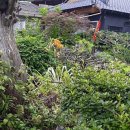 즐거운나의집공인중개사사무소 이미지