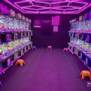 모모뽑기방 이미지