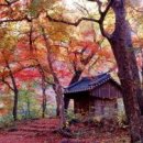 원주축산업협동조합 이미지