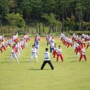 사랑가득태권도장 이미지