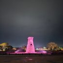 십원족발보쌈 이미지