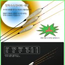 비찌