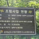 산야촌