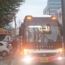 [야간]원어민 생활영어 이미지