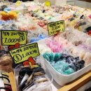 상경농장 | 서울 종로 데이트 코스 추천｜백제정육점·더쌍화·아베베도넛·동대문 악세사리상가 (레트로갬성으로...