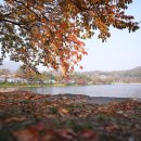 보령푸드 이미지